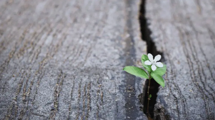 How Can You Respond To A Crisis?